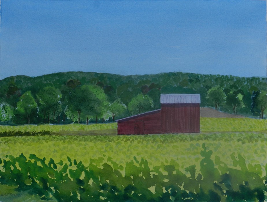 Barn in Tobacco Field.jpg